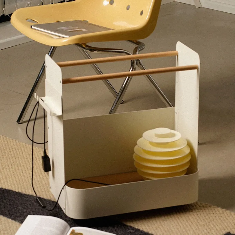 Multi-functional Household Mob - Sports Equipment Storage Rack review and price