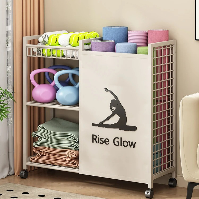 Mobile Fitness Cart with Wheel - Sports Equipment Storage Rack review and price