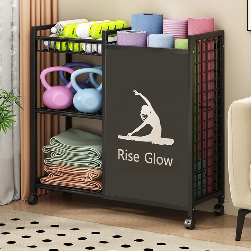 Mobile Fitness Cart with Wheel - Sports Equipment Storage Rack review and price