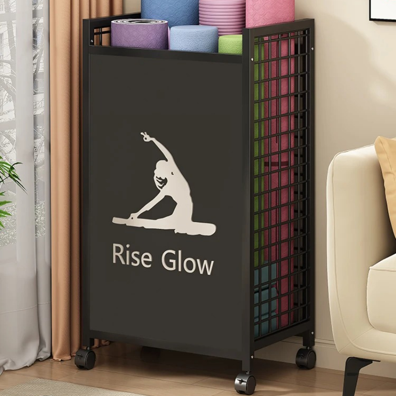 Mobile Fitness Cart with Wheel - Sports Equipment Storage Rack review and price