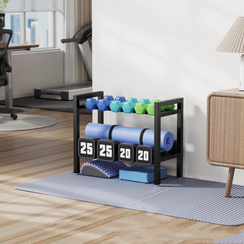 Adjustable Metal Dumbbell Rack - Sports Equipment Rack review and price