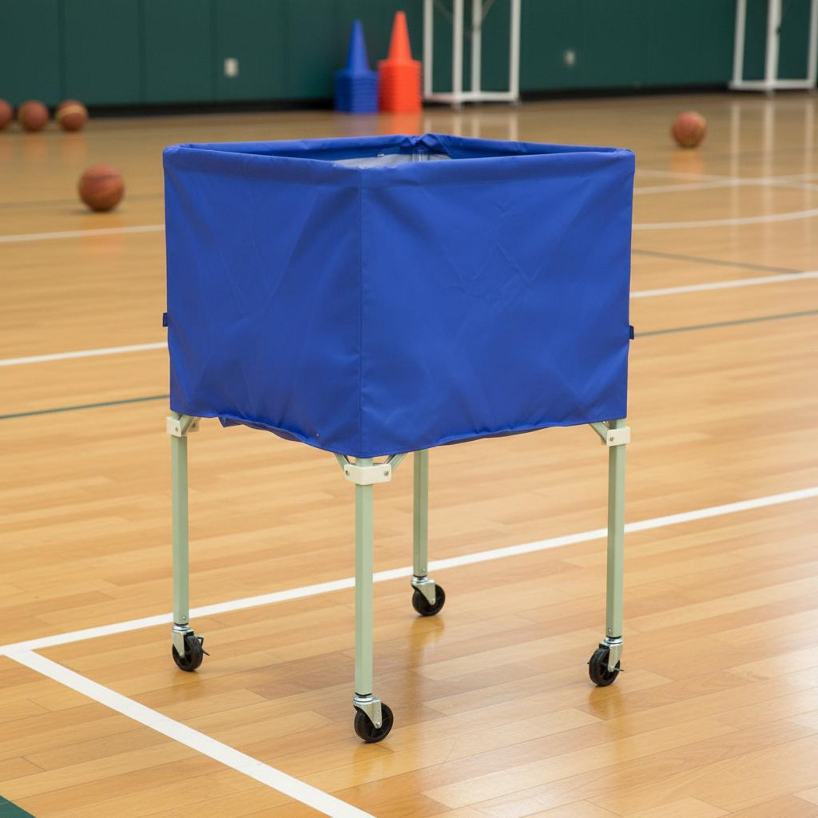 Ball Vehicle Cover Waterproof  - Sports Equipment Rack review and price